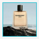 burberry hero